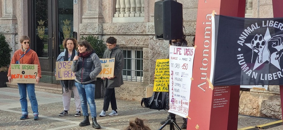 “Mj5 come il partigiano Johnny”, la protesta degli attivisti: “In Trentino gli orsi perseguitati”